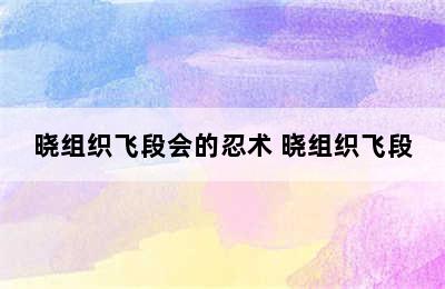 晓组织飞段会的忍术 晓组织飞段